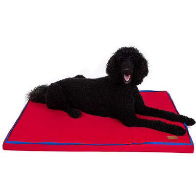 Colchonete Fábrica Pet Impermeável 5 cm Vermelho