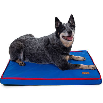 Colchonete Fábrica Pet Impermeável Azul
