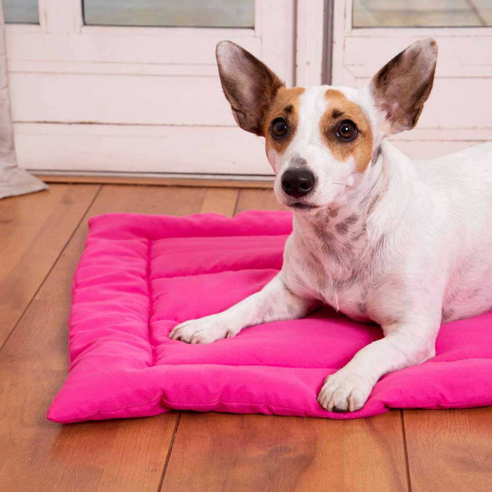Edredom Fabrica Pet Liso Rosa- Tam. G