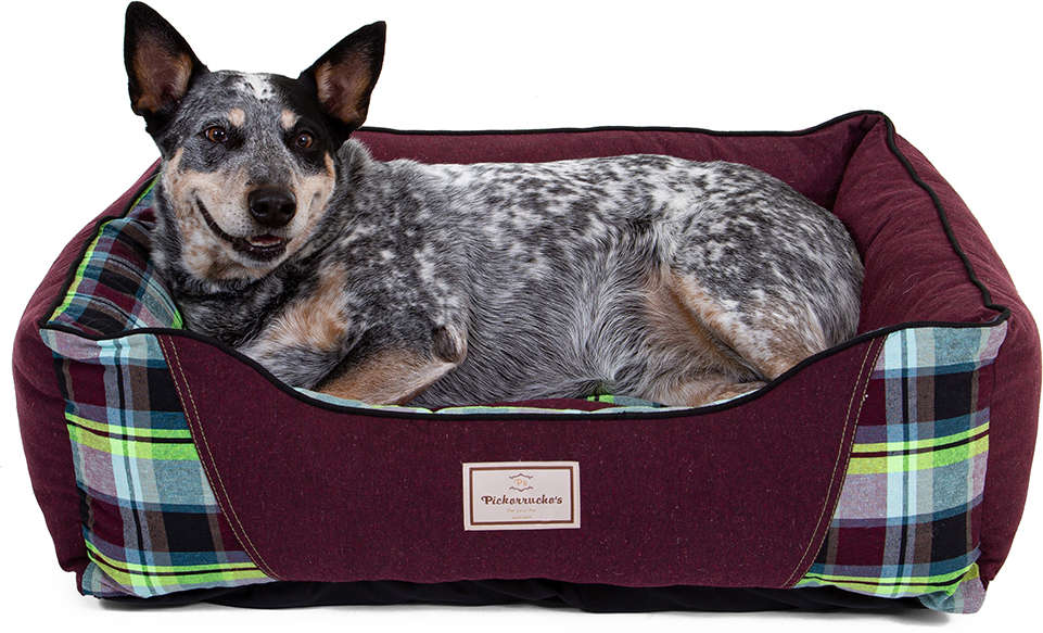 Cama Reciclato Scot Xadrez Vinho - Tam. 01