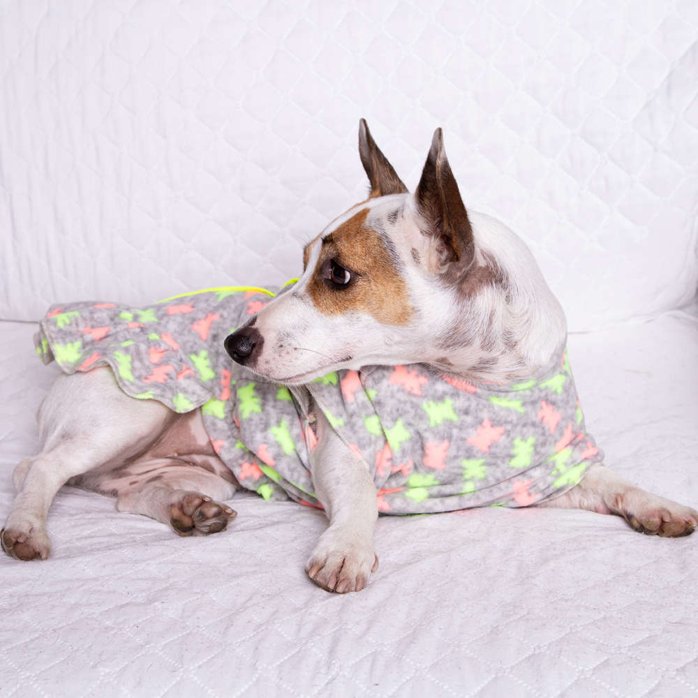 Vestido Soft Grafite com Neon - Tam. 00