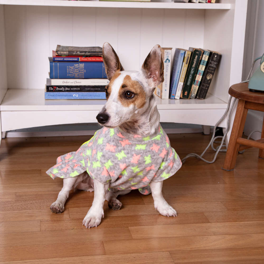 Vestido Soft Grafite com Neon - Tam. 00