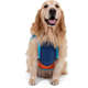 Blusa Jacquard Tricolor Sport