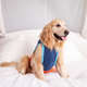 Blusa Jacquard Tricolor Sport