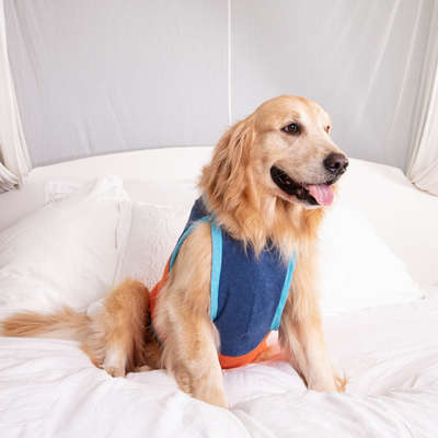 Blusa Jacquard Tricolor Sport