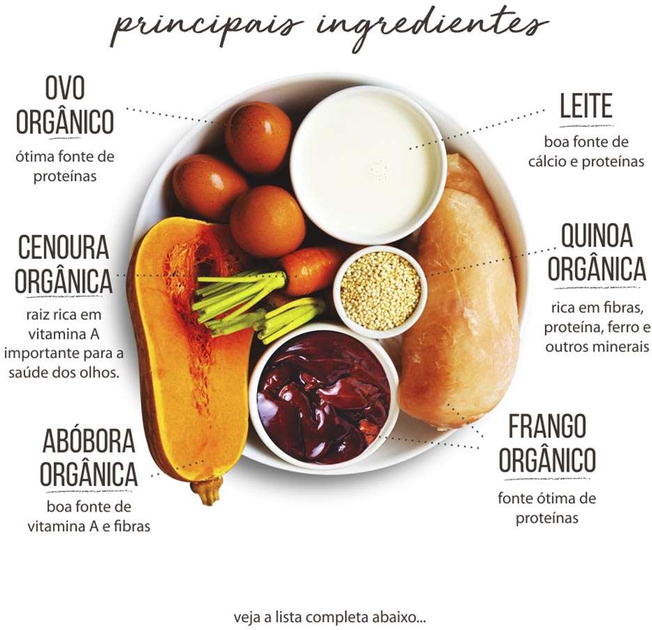 Comidinha Orgânica All Love Frango, Ovo, Quinoa, Cenoura, Abóbora & Leite para Gatos - 900 g