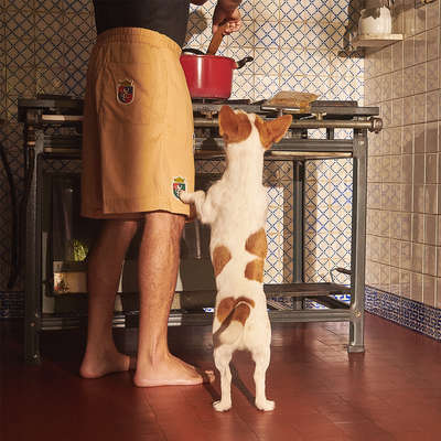 Alimento Natural A Quinta Sabor Risoto Suíno com Abóbora para Cães Filhotes