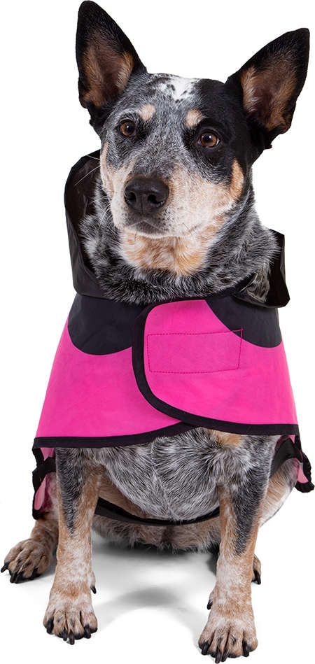 Capa de Chuva Disney Minnie Rosa - Tam. 10