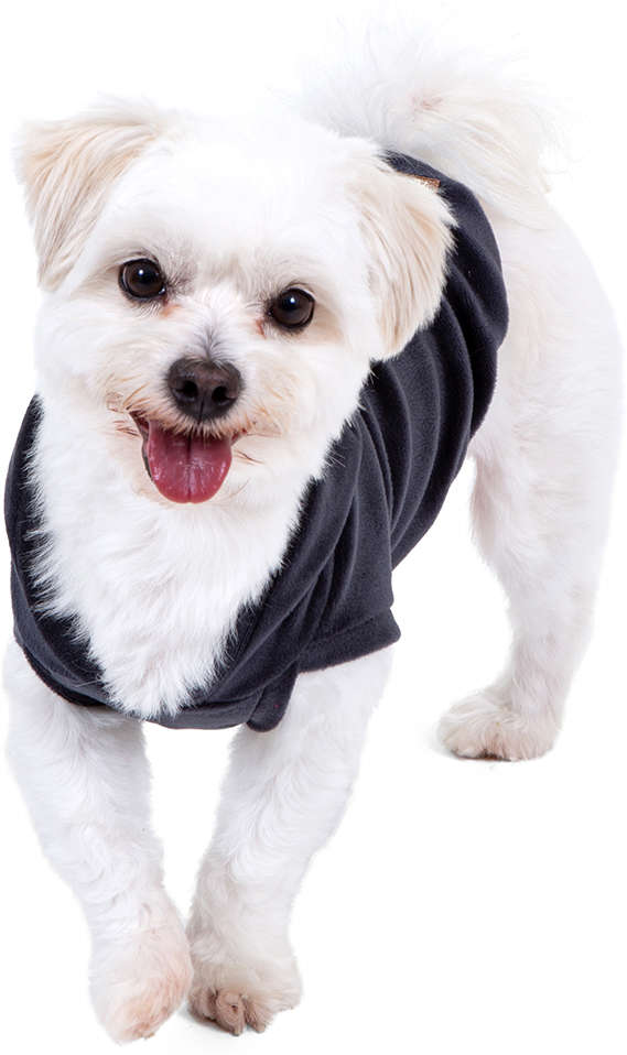 Blusa com Capuz Fábrica Pet Plush Cinza - Tam. 00