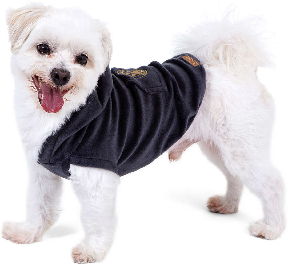 Blusa com Capuz Fábrica Pet Plush Cinza - Tam. 00