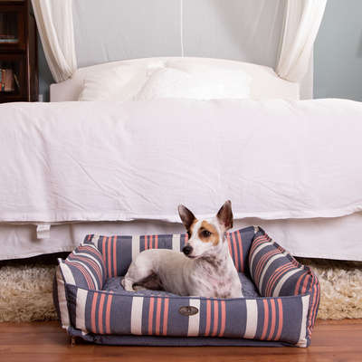 Cama Reciclato Risk Listra Azul