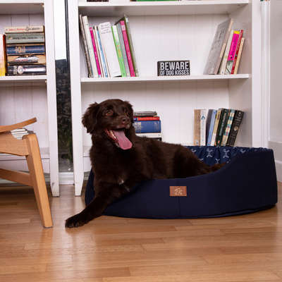 Cama Europa Paris Fábrica Pet Azul Marinho