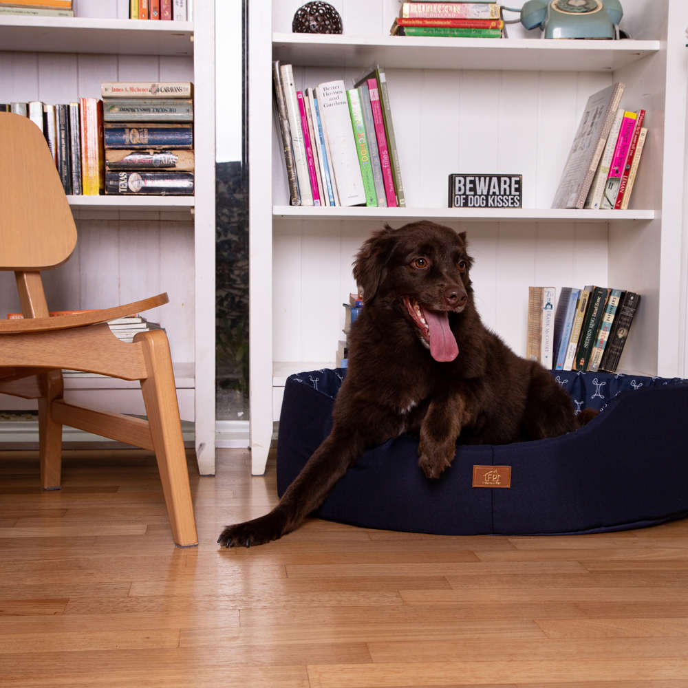 Cama Europa Paris Fábrica Pet Azul Marinho - Tam. EXG