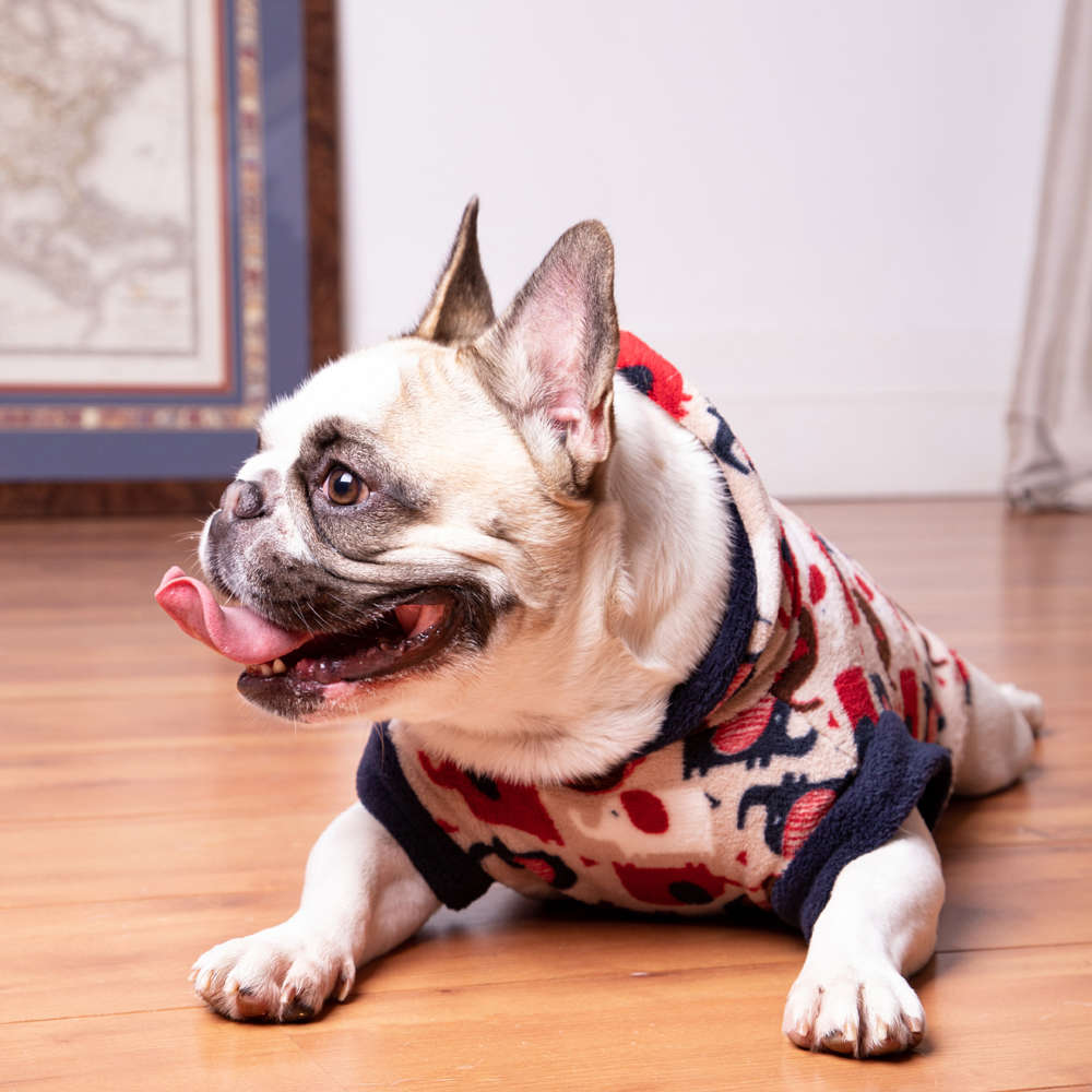 Agasalho Pickorruchos Puppy Estampas Sortidas - Tam. 05