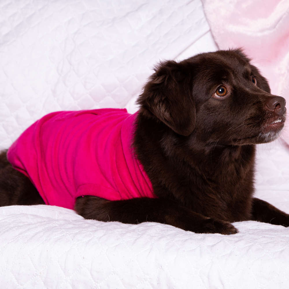 Blusa com Capuz Fábrica Pet Plush Rosa - Tam. 05
