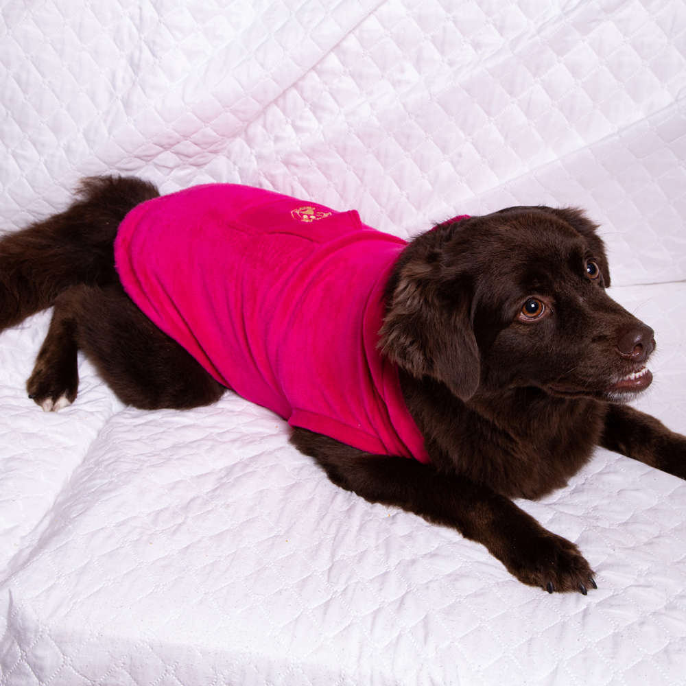 Blusa com Capuz Fábrica Pet Plush Rosa - Tam. 05