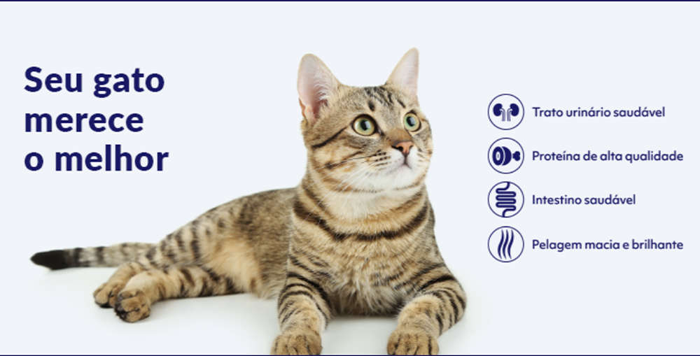 Ração Nutrilus Pro+ Carne para Gatos Adultos - 10,1Kg