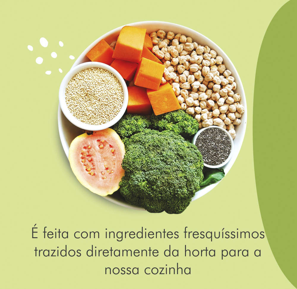 Comidinha Orgânica All Love Veggie Ovo, Quinoa, Abóbora, Chia, Brócolis, Goiaba & Grão de Bico para Cães Adultos - 1Kg