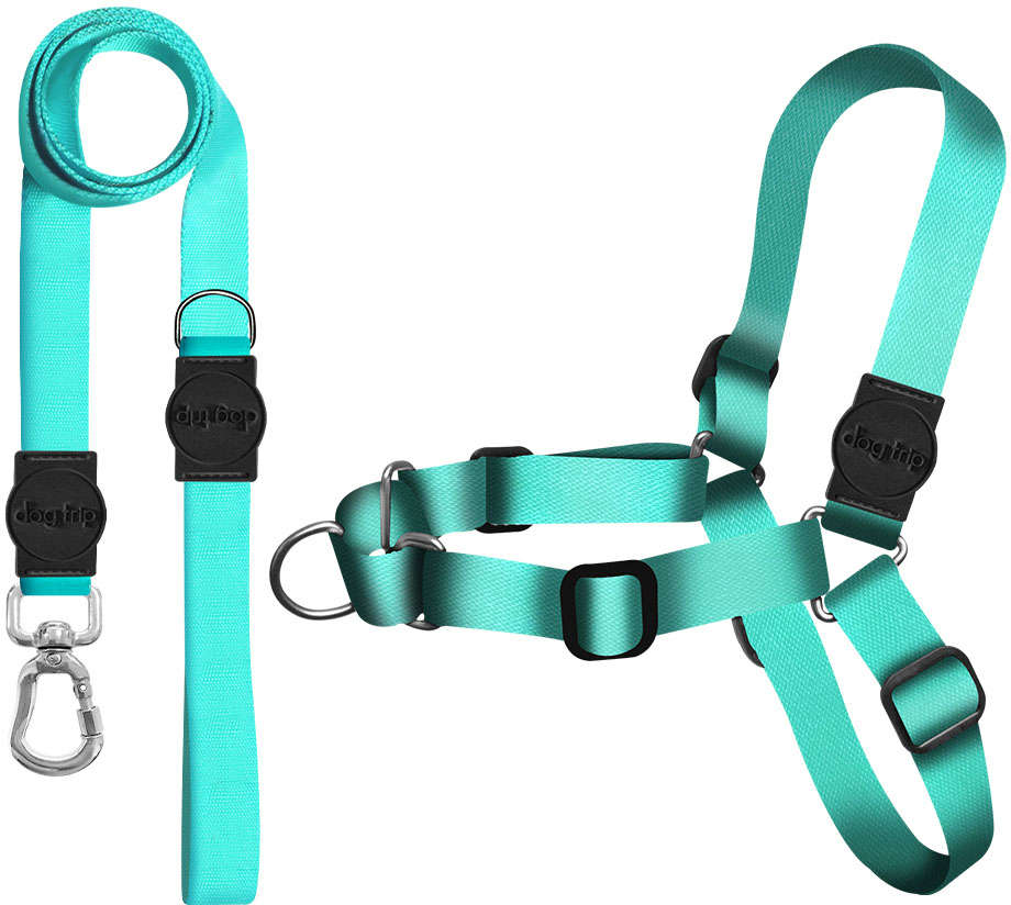 Kit Guia Premium + Peitoral Antipuxão Dog Trip Brasil Classic Aquamarine para Cães - Tam. P