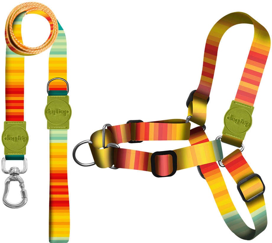 Kit Guia Premium + Peitoral Antipuxão Dog Trip Brasil Sunset para Cães - Tam. G