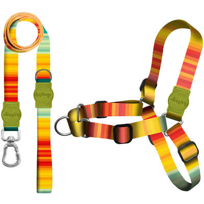 Kit Guia Premium + Peitoral Antipuxão Dog Trip Brasil Sunset para Cães