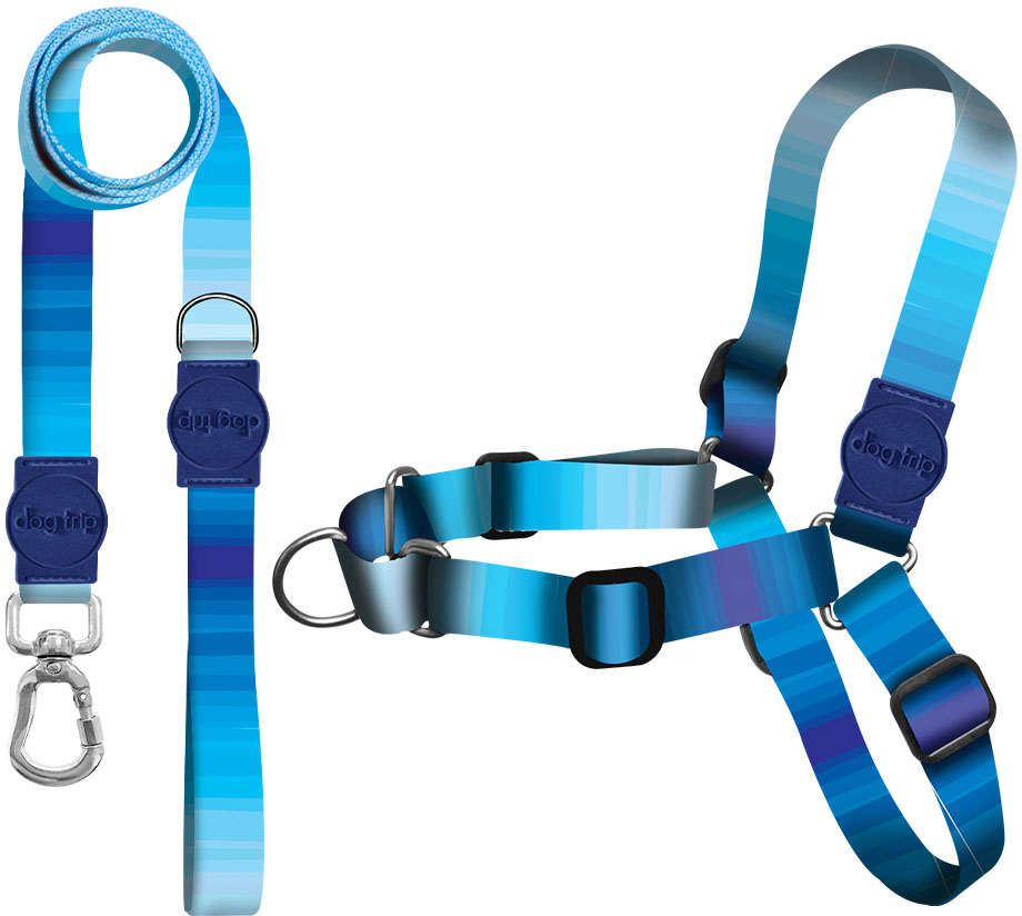 Kit Guia Premium + Peitoral Antipuxão Dog Trip Brasil Maldives para Cães - Tam. G