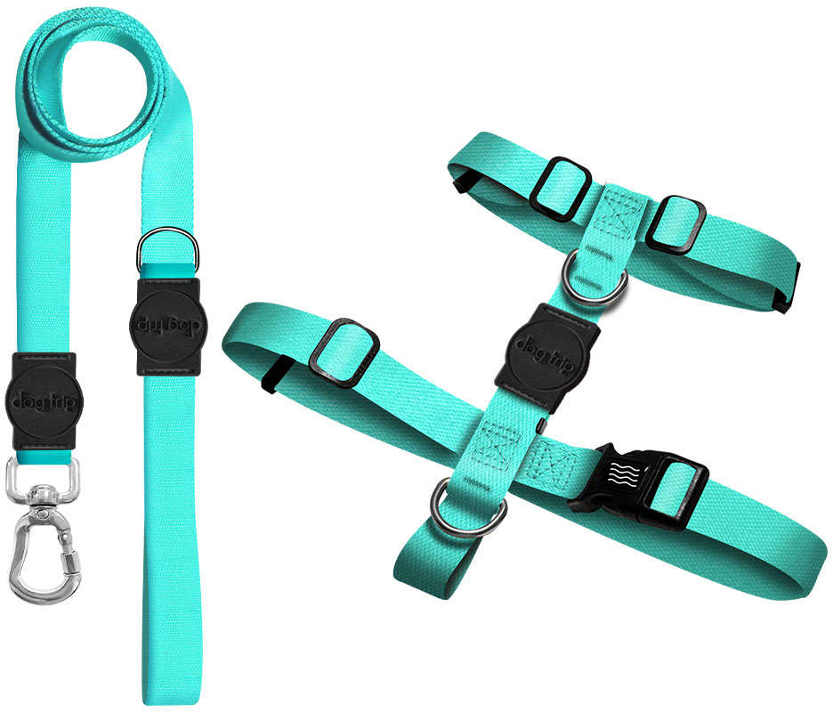 Kit Guia Premium + Peitoral H Dog Trip Brasil Classic Aquamarine para Cães - Tam. G