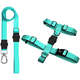 Kit Guia Premium + Peitoral H Dog Trip Brasil Classic Aquamarine para Cães