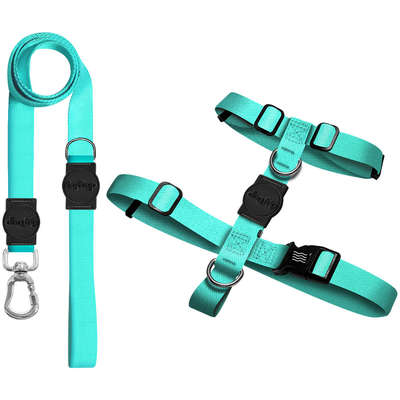 Kit Guia Premium + Peitoral H Dog Trip Brasil Classic Aquamarine para Cães