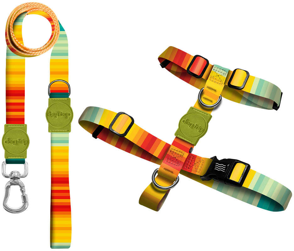 Kit Guia Premium + Peitoral H Dog Trip Brasil Sunset para Cães - Tam. P