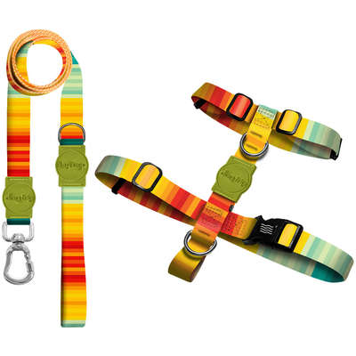 Kit Guia Premium + Peitoral H Dog Trip Brasil Sunset para Cães