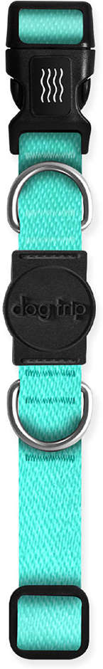 Coleira Premium Dog Trip Brasil Classic Aquamarine para Cães - Tam. G