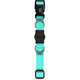 Coleira Premium Dog Trip Brasil Classic Aquamarine para Cães