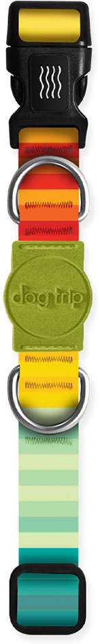 Coleira Premium Dog Trip Brasil Sunset para Cães - Tam. G