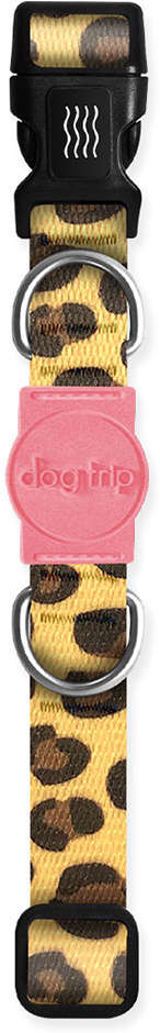 Coleira Premium Dog Trip Brasil Guma para Cães - Tam. M
