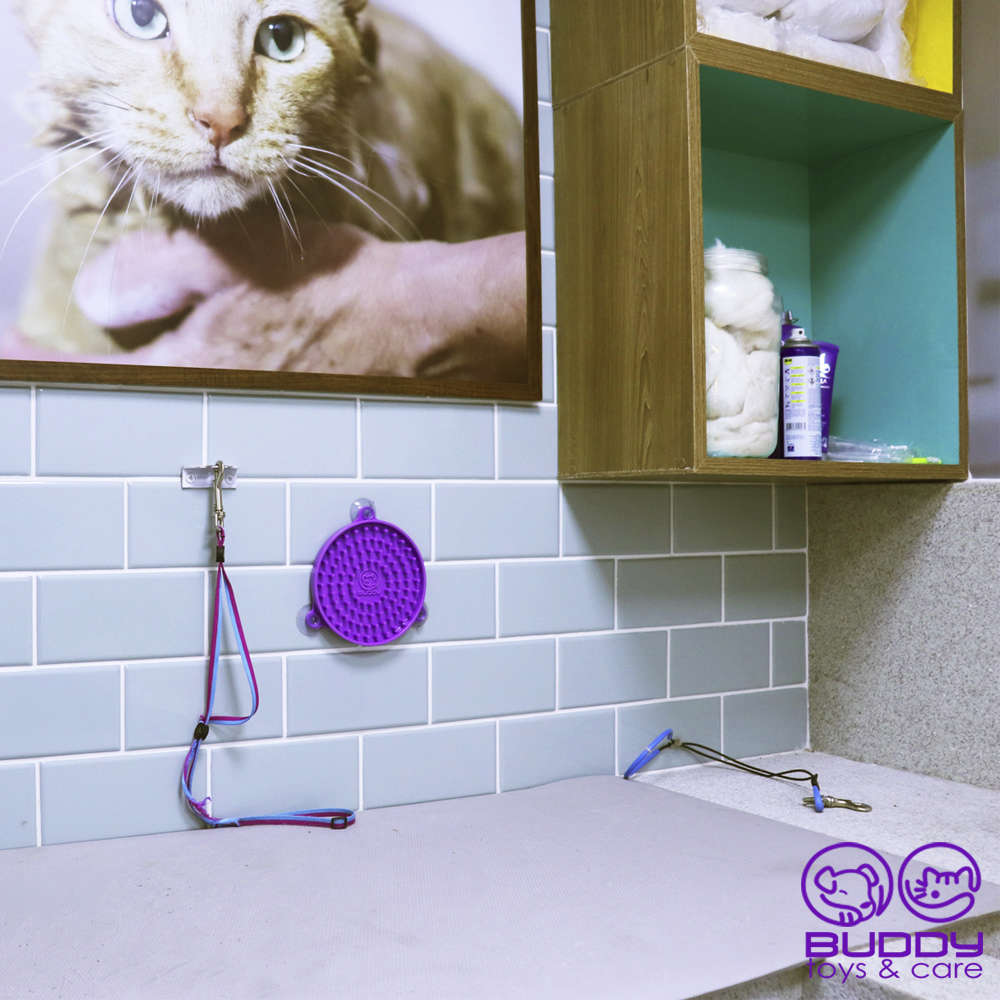 Comedouro Buddy Lambe para Cães e Gatos - Tam. Único