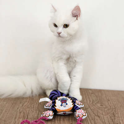 Brinquedo Mouse Bouncer Door para Gatos