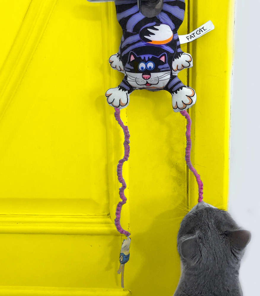Brinquedo Mouse Bouncer Door para Gatos - Tam. Único