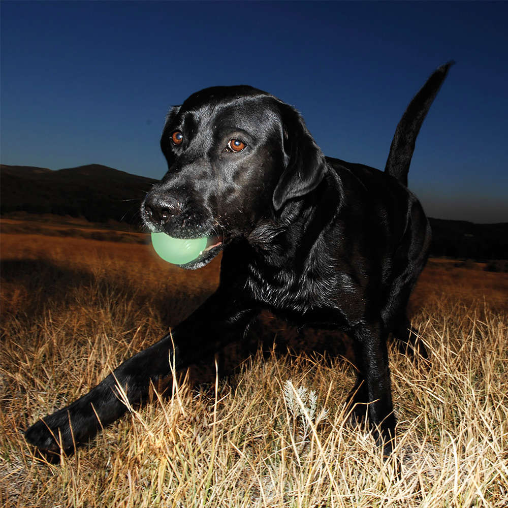 Brinquedo Bola Ultra Max Glow para Cães - Tam. M