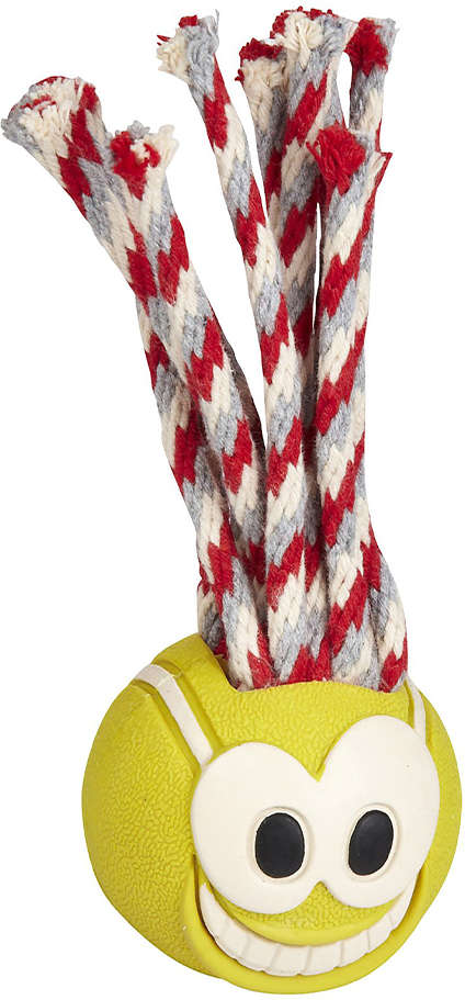Brinquedo Bola Ultra Fanatic Ball para Cães - Tam. P