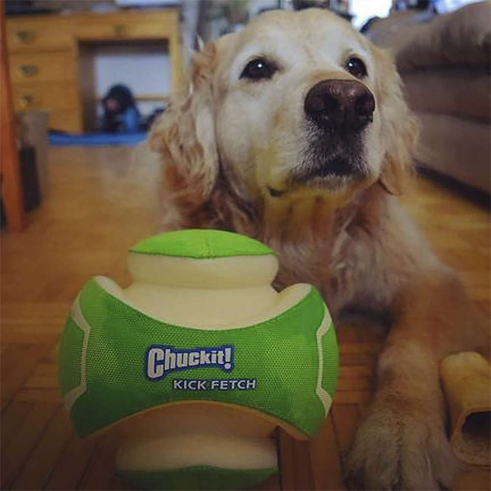 Brinquedo Bola Fetch Brilhante Max Glow para Cães - Tam. G