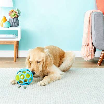 Brinquedo Bola Porta Petisco Holee Treat Ball para Cães