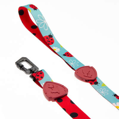 Guia Tradicional FreeFaro New Ladybug