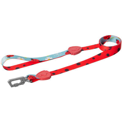 Guia Tradicional FreeFaro New Ladybug