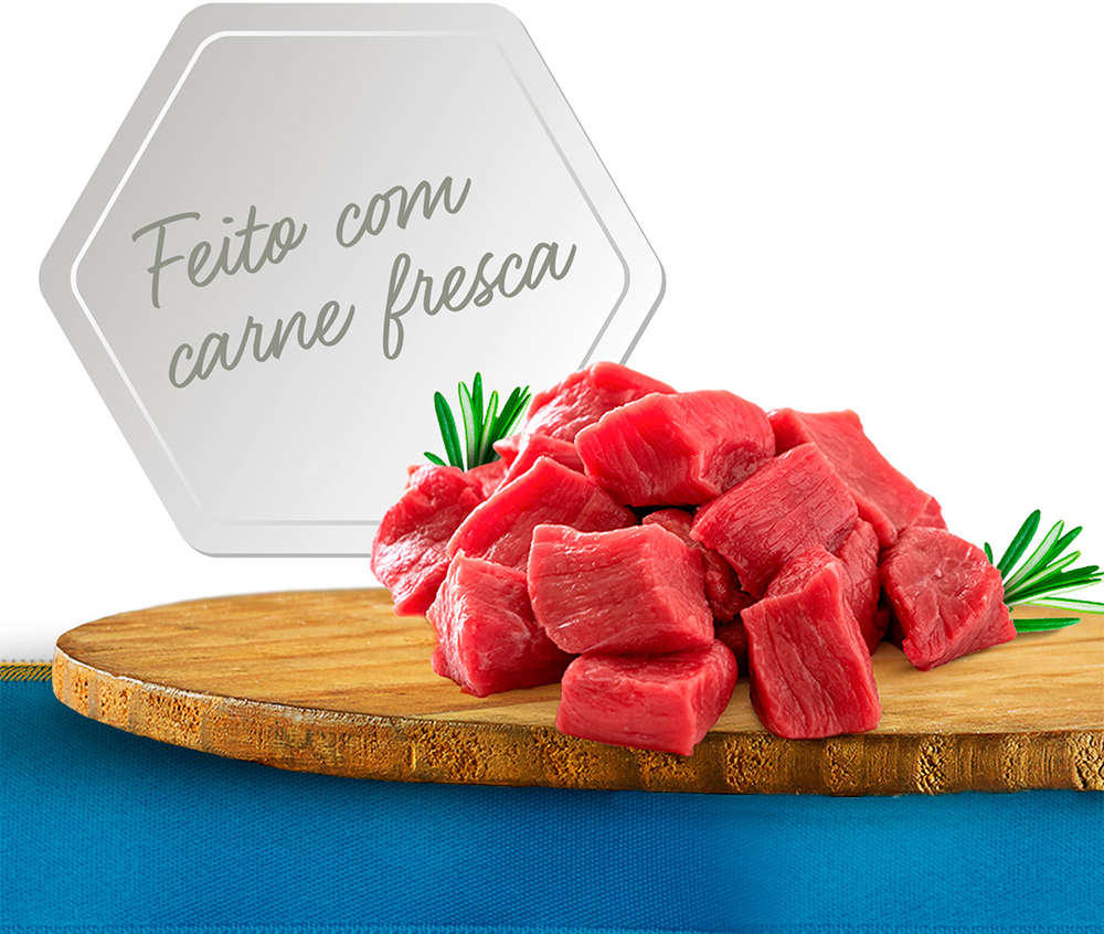 Ração Úmida Fórmula Natural Fresh Meat Gourmet Carne, Abóbora e Chia para Cães Adultos - 70 g