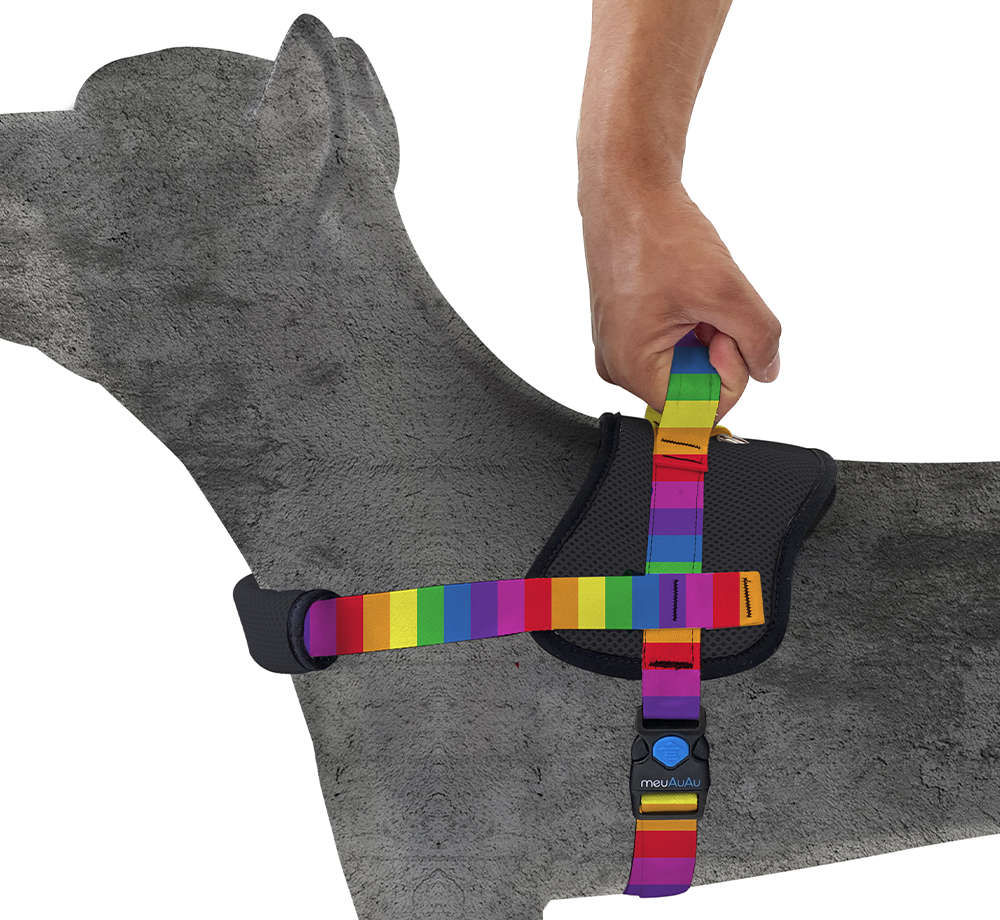 Peitoral Control Rainbow - Tam. P