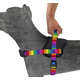 Peitoral Control Rainbow