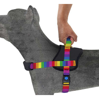 Peitoral Control Rainbow
