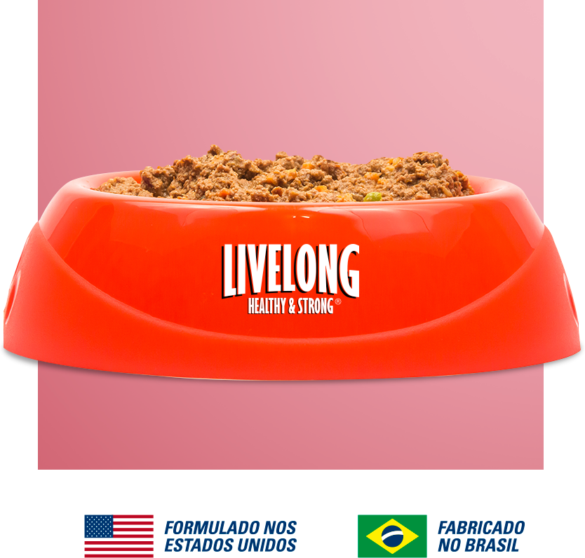 Alimento Natural Livelong Carne para Cães - 300 g
