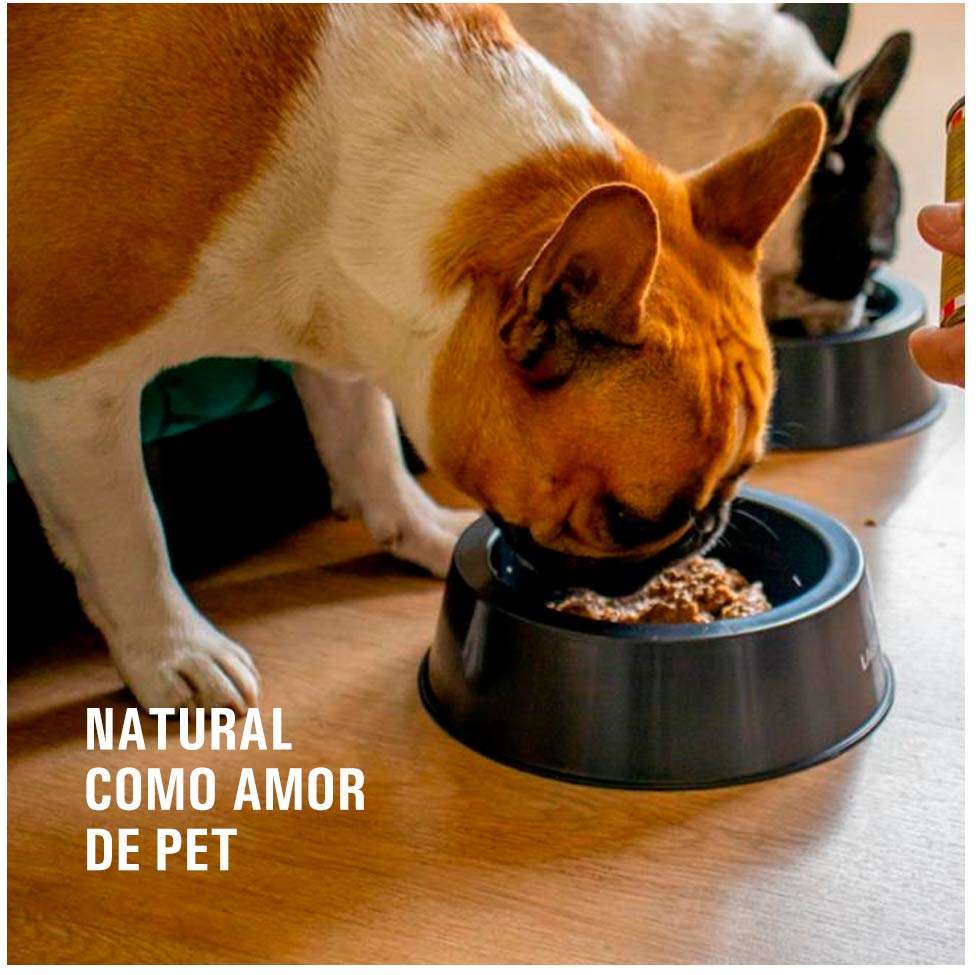 Alimento Natural Livelong Frango para Cães - 300 g